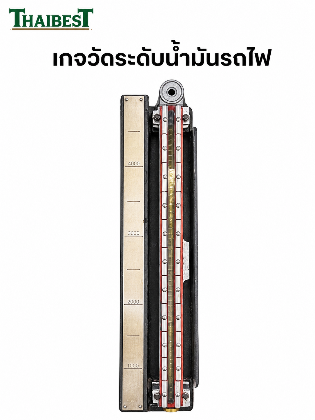 C060199E-787C-49D0-84C4-B4E64D172D5E